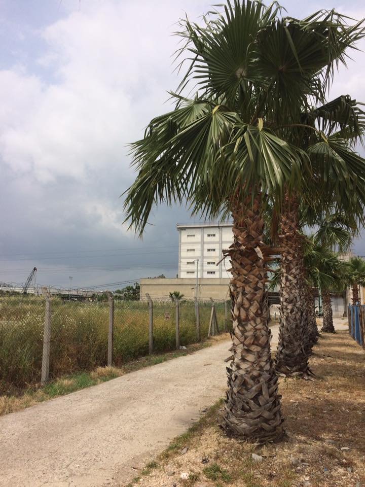İstanbul Beylikdüzü Aydınoğulları Eğitim Kurumları