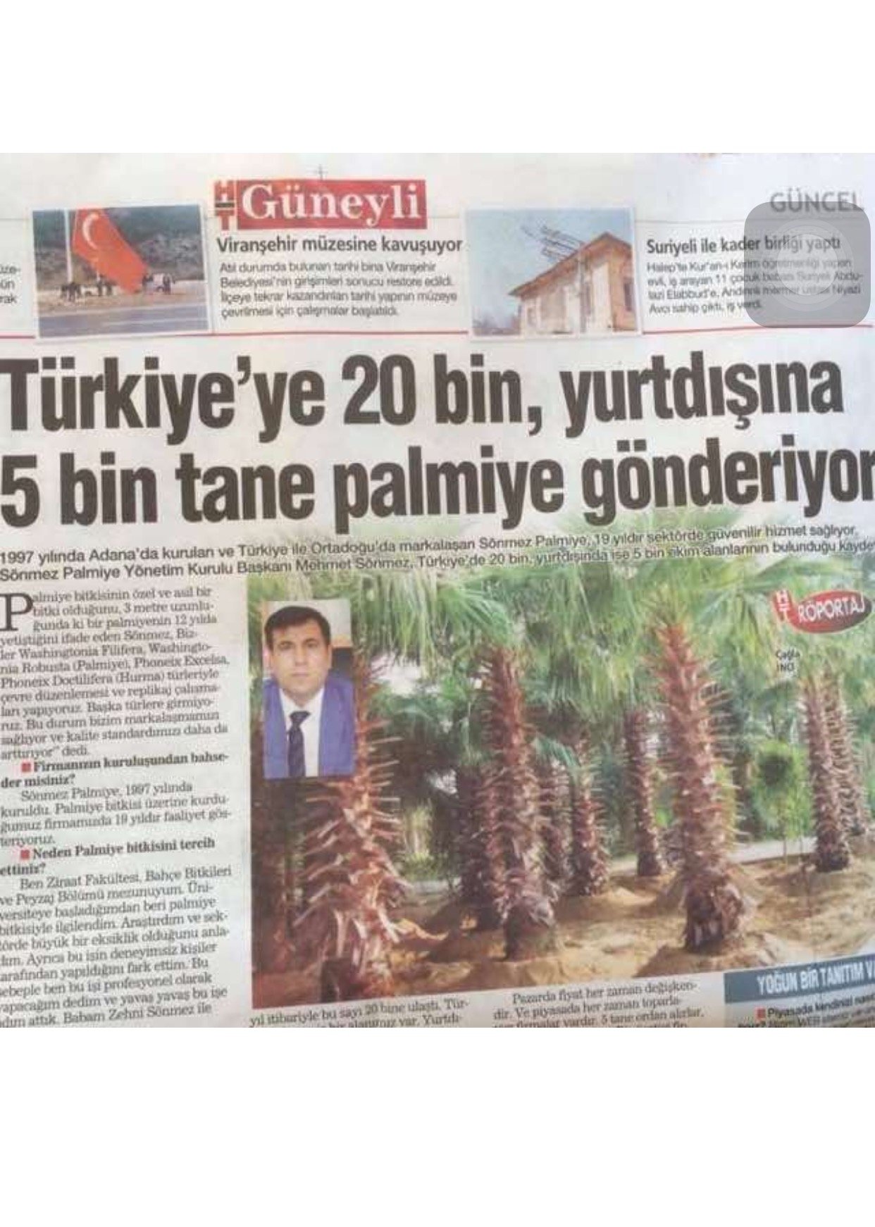 Sönmez Palmiye Başarı Öyküsü
