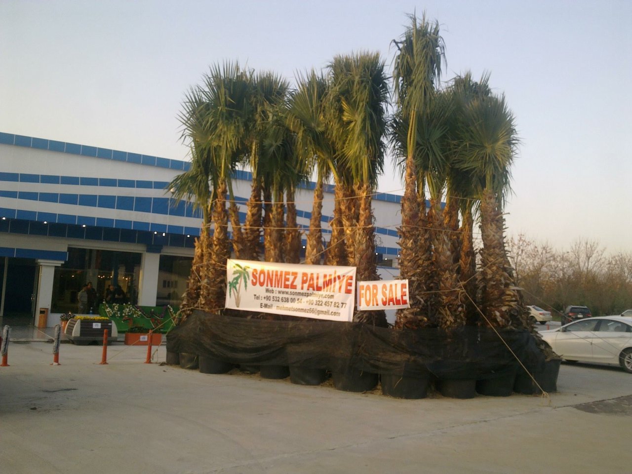 Uluslararası Erbil Fuarı