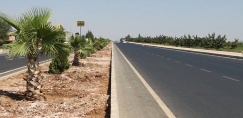 Palmiyelerde Rekreasyon Çalışması